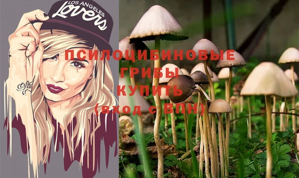 таблы Аркадак